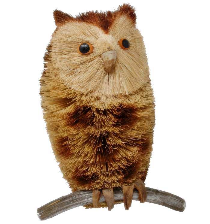 Brushart Bristle Brush Animal Spotted Owl 10